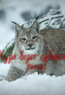 Книга. "Куда ведет сибирская рысь?" читать онлайн