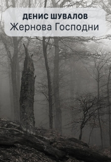 Книга. "Жернова Господни" читать онлайн