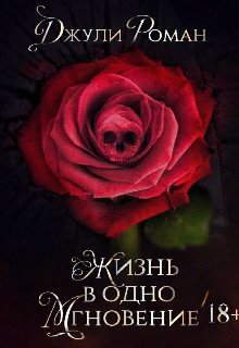 Книга. "Жизнь в одно мгновение." читать онлайн