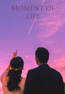 Книга. "Moment of life" читать онлайн
