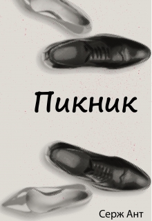 Книга. "Пикник" читать онлайн