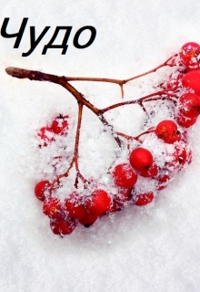 Книга. "Чудо" читать онлайн