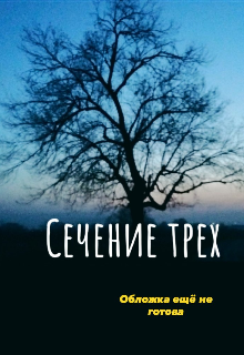 Книга. "Сечение трёх" читать онлайн