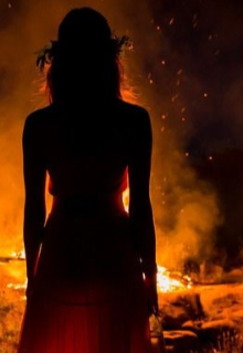 Книга. "Огонь прошлого" читать онлайн