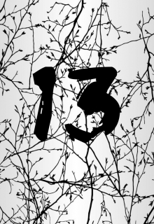 Книга. "13" читать онлайн