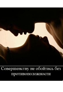 Книга. "Противоположности притягиваются " читать онлайн