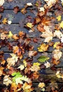 Книга. "Отпустить." читать онлайн