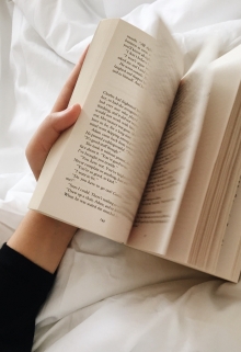 Книга. "Моя первая книга на Литнет" читать онлайн