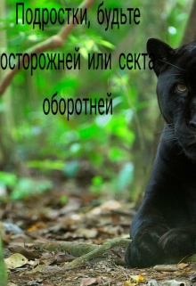 Книга. "Подростки, будьте осторожней или секта оборотней " читать онлайн