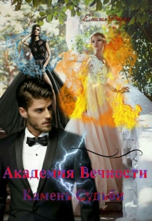 Книга. "Академия Вечности. Камень Судьби" читать онлайн