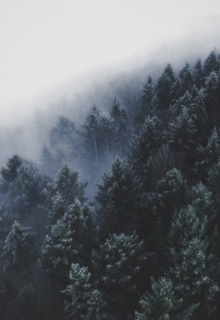 Книга. "Не все так плохо, как  показалась " читать онлайн