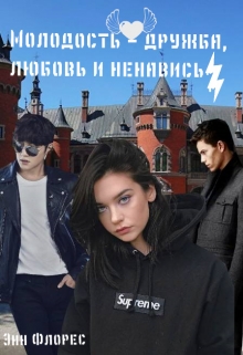 Книга. "Молодость - дружба, любовь и ненависть" читать онлайн