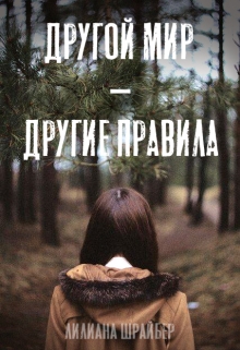 Книга. "Другой мир - другие правила" читать онлайн