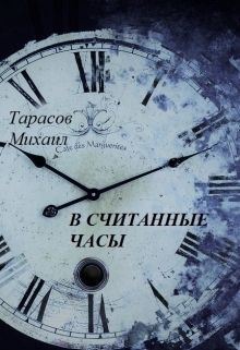 Книга. "В считанные часы" читать онлайн