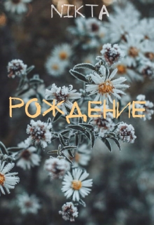 Книга. "Рождение" читать онлайн