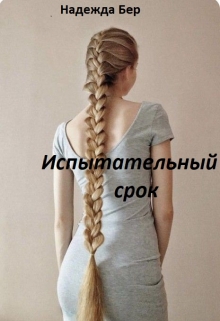 Книга. "Испытательный срок" читать онлайн