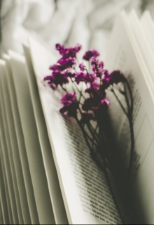 Книга. "Воспоминания" читать онлайн