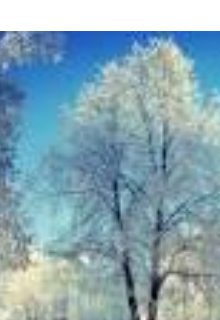 Книга. "Семейные тайны в новогоднюю ночь" читать онлайн