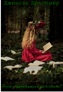 Книга. "Мечты сбываются или куда я попала?!" читать онлайн