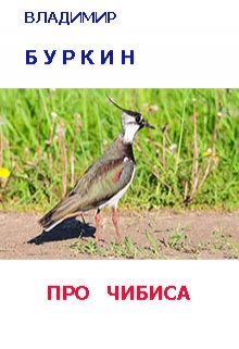 Книга. "Про чибиса" читать онлайн