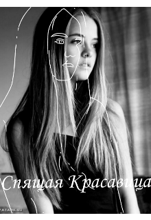 Книга. "Спящая красавица" читать онлайн