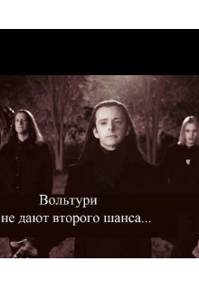 Книга. "Сногсшибательная страсть или Вольтури не дают второго шанса " читать онлайн