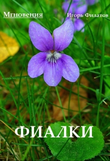 Книга. "Фиалки" читать онлайн
