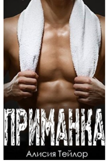 Книга. "Приманка. Бойцы 2." читать онлайн