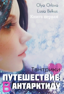 Книга. "Путешествие в Антарктиду. Книга первая" читать онлайн