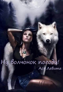 Книга. "Ну волчонок погоди!!!" читать онлайн