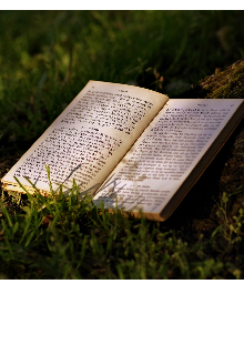 Книга. "Артефакт в поисках хранителя" читать онлайн