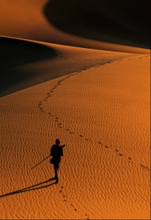 Книга. "Беглец" читать онлайн