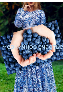 Книга. "Черничное счастье" читать онлайн