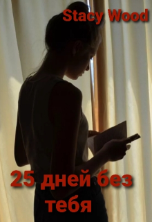 Книга. "25 дней без тебя " читать онлайн