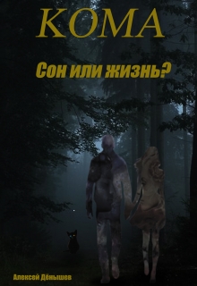 Книга. "Кома. Сон или жизнь?" читать онлайн