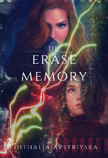 Книга. "Стереть память/the erase memory" читать онлайн