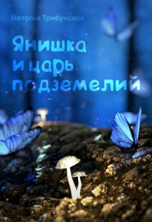 Книга. "Янишка и царь подземелий" читать онлайн