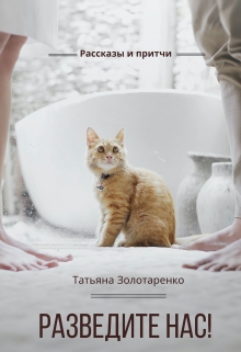 Книга. "Разведите нас" читать онлайн