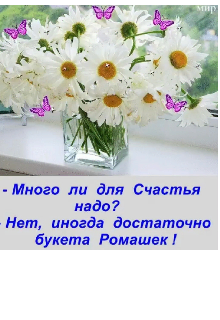 Книга. "Pомашка, как средство от стресса... " читать онлайн