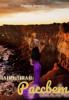 Книга. "Нашедшая рассвет" читать онлайн