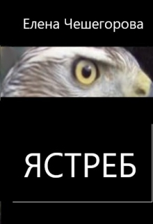 Книга. "Ястреб" читать онлайн
