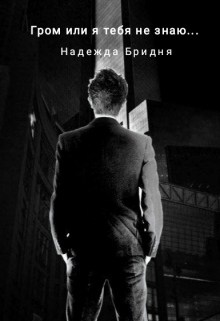 Книга. "Гром или я тебя не знаю..." читать онлайн