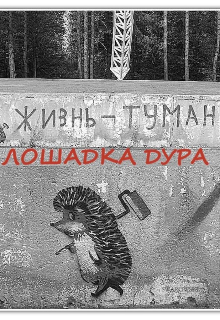 Книга. "В прошлой жизни я была мужчиной" читать онлайн