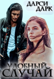 Книга. "Удобный случай" читать онлайн