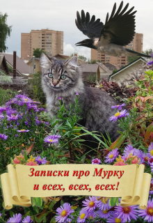 Книга. "Записки про Мурку и всех, всех, всех" читать онлайн