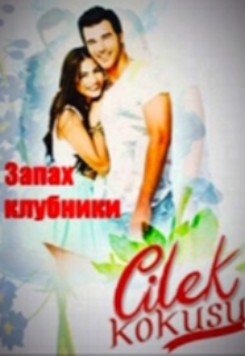 Книга. "Запах клубники" читать онлайн