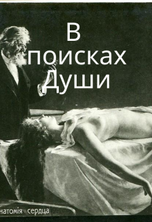 Книга. "В поисках Души" читать онлайн
