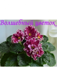 Книга. "Волшебный цветок" читать онлайн