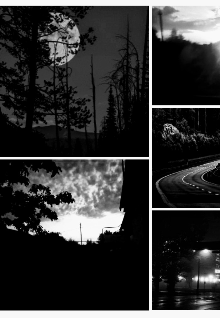Книга. "Охотники. Блуждающие" читать онлайн