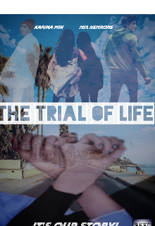 Книга. "The Trial of Life..." читать онлайн